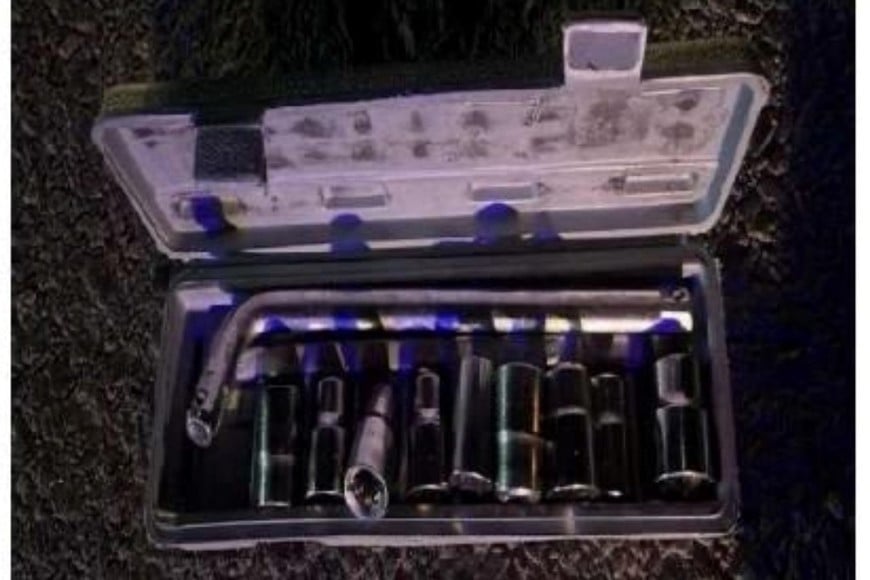 Parte d elol secuestrado tras el operativo.