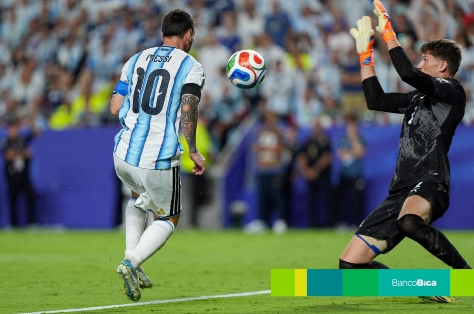 Galería BICA: Ganó Argentina contra Suiza