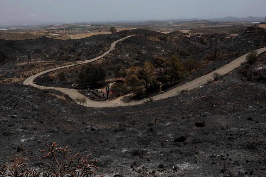 A burned area following deadly wildfires affecting Almeria province, in Los Gallardos, Almeria, Spain, July 11, 2026. REUTERS/Violeta Santos Moura