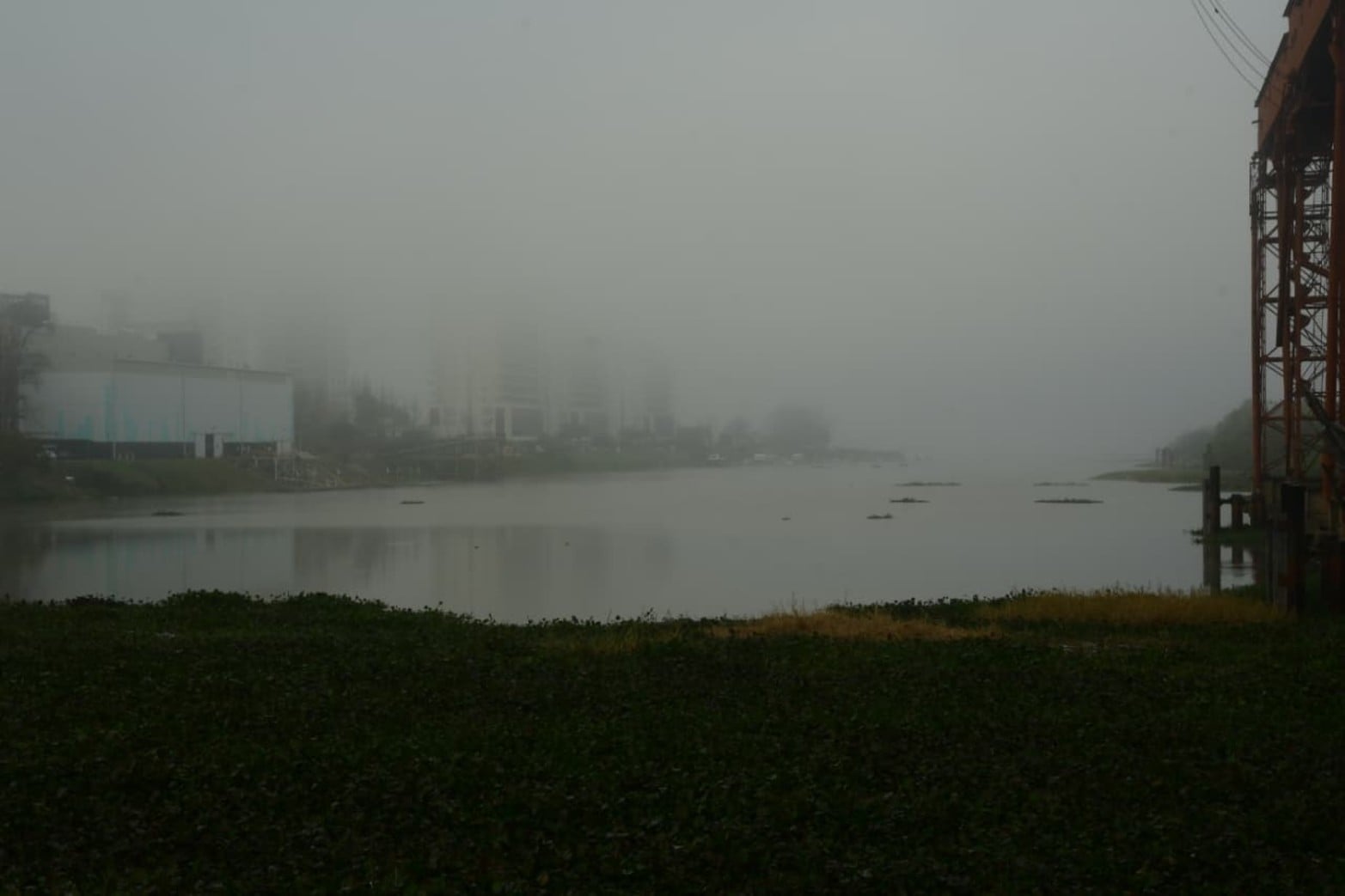Santa Fe amaneció cubierta por una intensa niebla. Créditos: Guillermo Di Salvatore