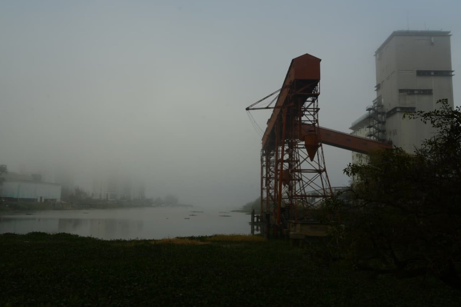 Santa Fe amaneció cubierta por una intensa niebla. Créditos: Guillermo Di Salvatore