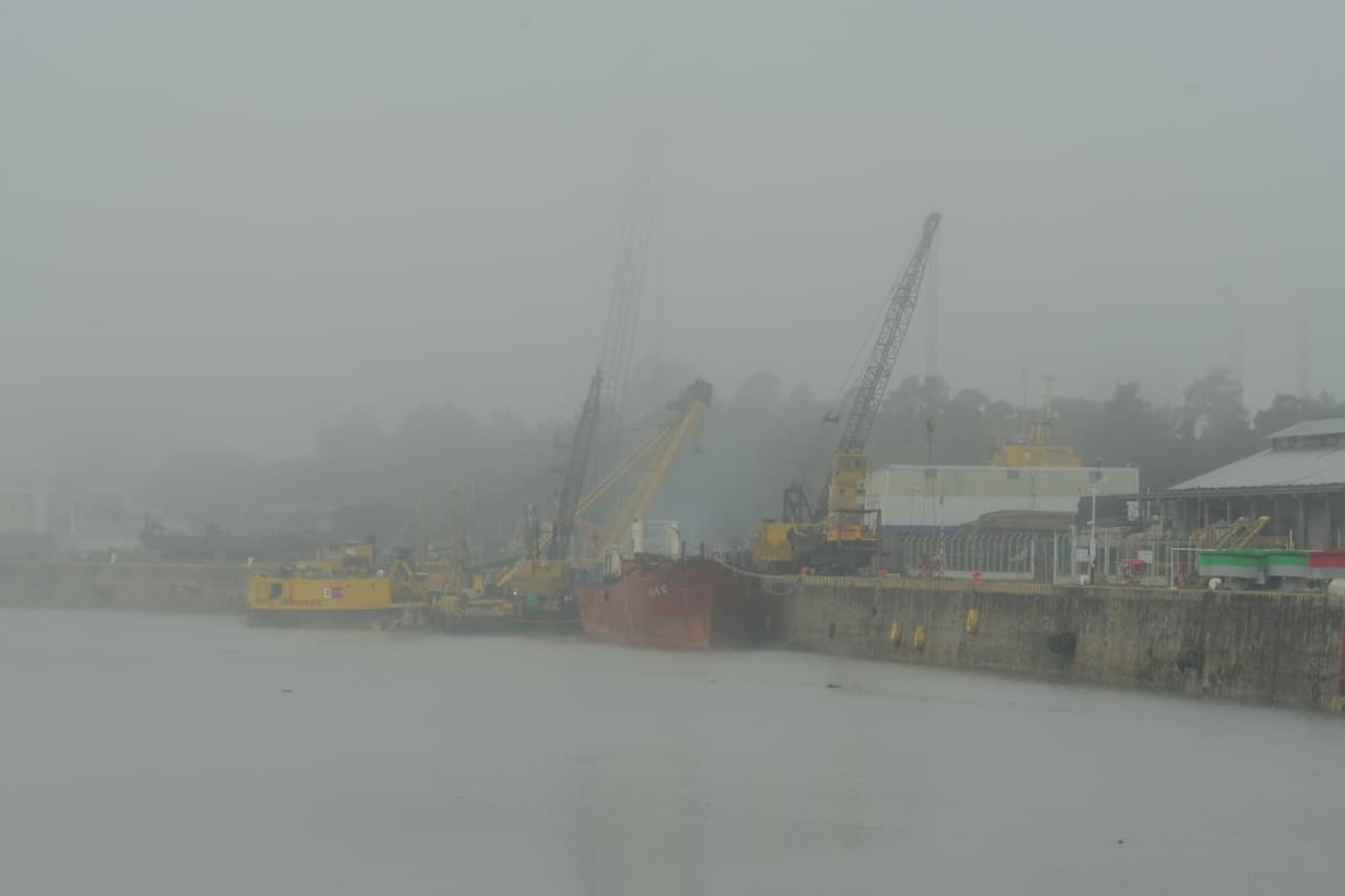 Santa Fe amaneció cubierta por una intensa niebla. Créditos: Guillermo Di Salvatore