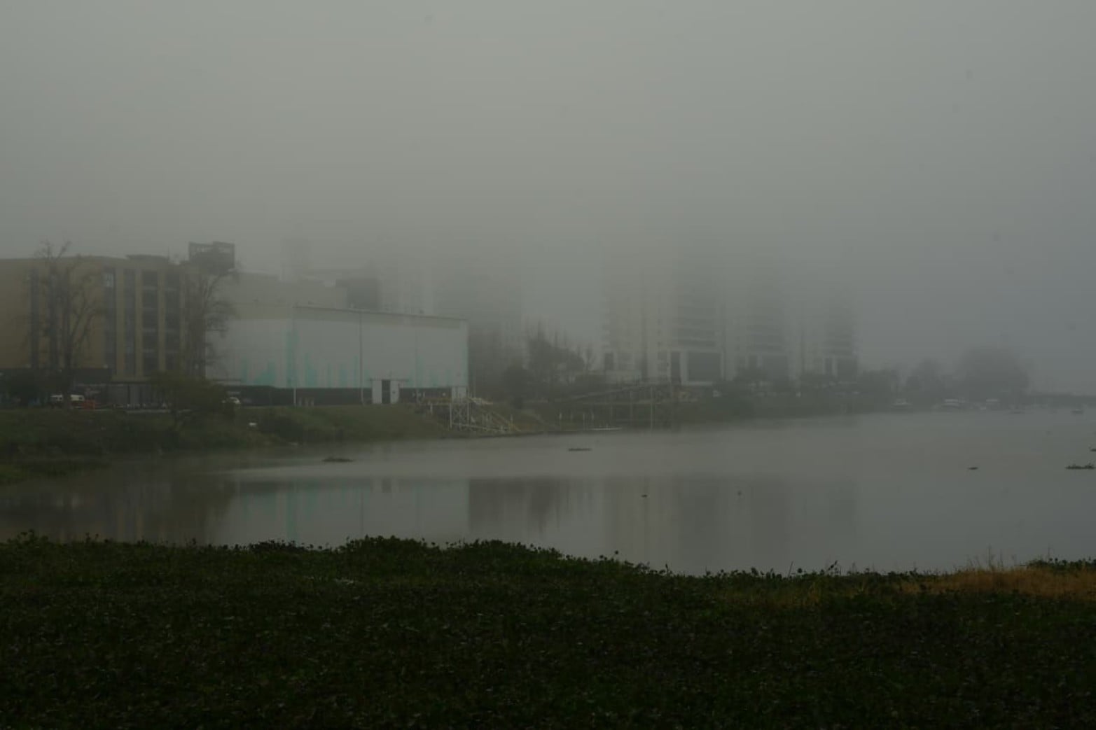 Santa Fe amaneció cubierta por una intensa niebla. Créditos: Guillermo Di Salvatore