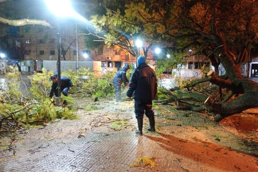 El Cobem cuenta con brigadas para rescates y asistencia sanitaria.