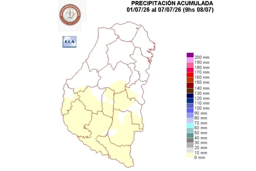 Datos del informe.