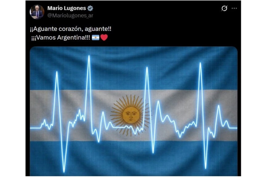 El ministro de Salud, Mario Lugones se sumó a los festejos en redes.