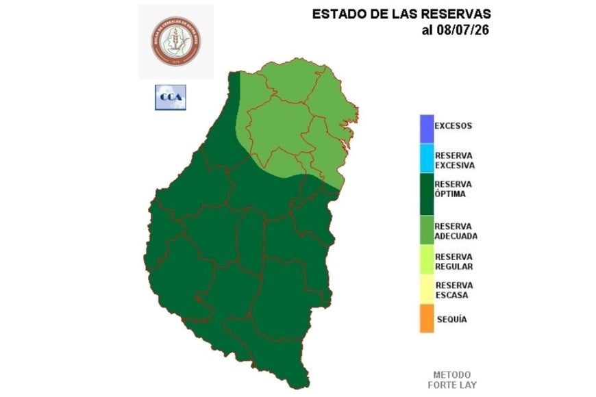 Datos del informe.