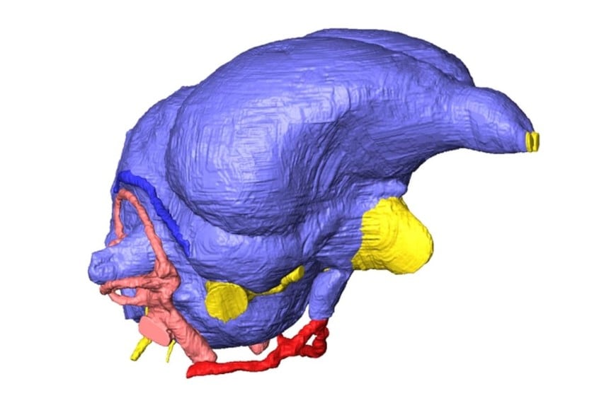 Modelo tridimensional utilizado en la investigación.