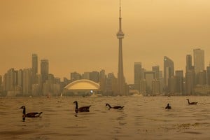 Más de 800 incendios activos en Canadá obligan a evacuar comunidades. Foto: Reuters.