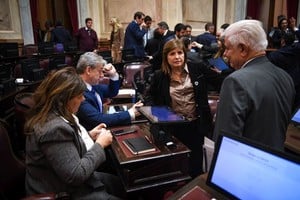 Por falta de acuerdos, el Senado postergó el tratamiento de la llamada ley de Inviolabilidad de la Propiedad Privada. HCSN