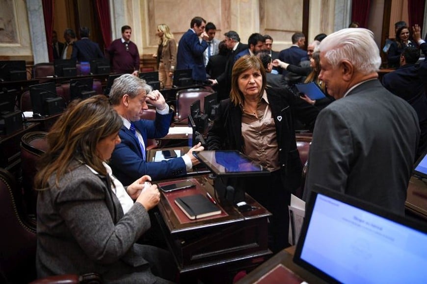 Por falta de acuerdos, el Senado postergó el tratamiento de la llamada ley de Inviolabilidad de la Propiedad Privada.