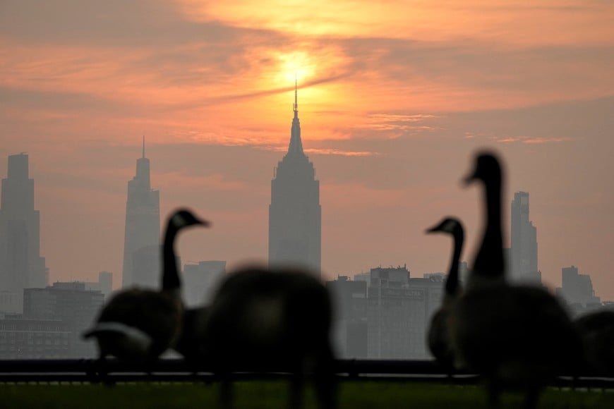 Canadian geese stand on a lawn as the sun rises behind the Empire State Building and the New York City skyline, seen through a layer of wildfire smoke, as viewed from Hoboken, New Jersey, U.S., July 17, 2026. REUTERS/Eduardo Munoz