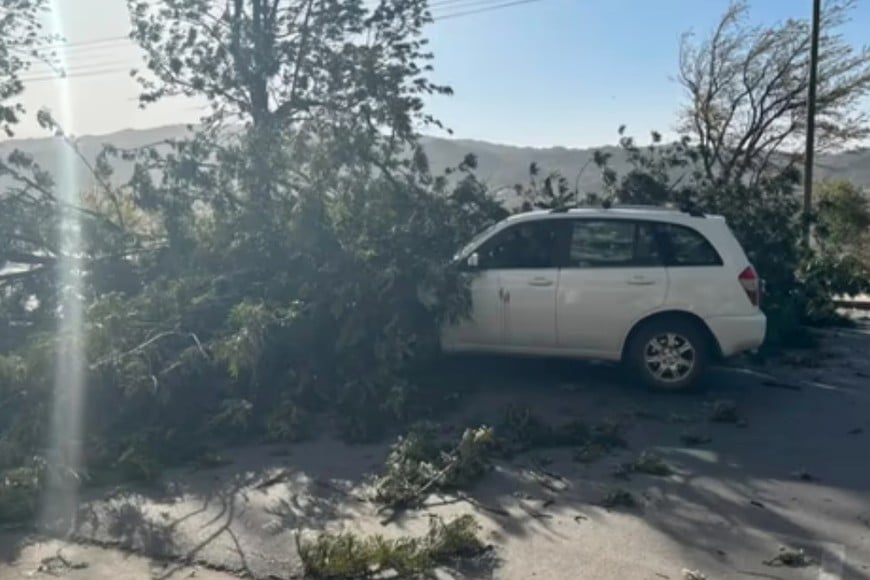 Las fuertes ráfagas favorecieron la propagación de incendios, ocasionaron la caída de árboles, postes y estructuras