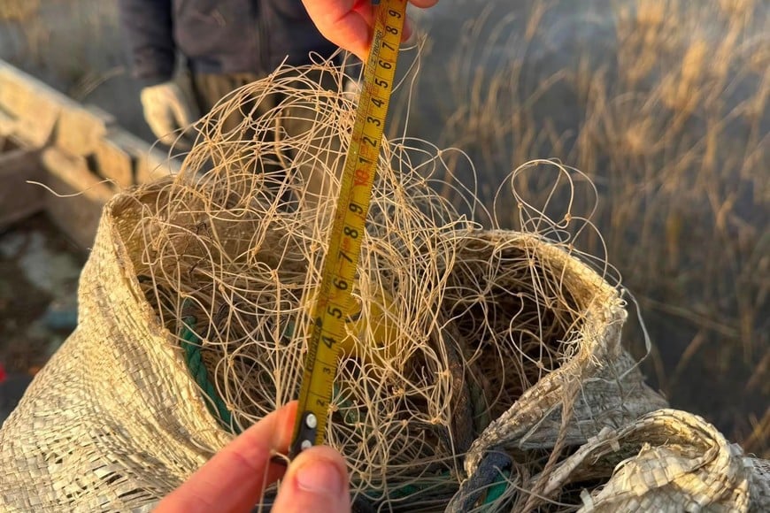 Secuestran 15 toneladas de pescado ilegal y detienen a tres organizadores de caza clandestina