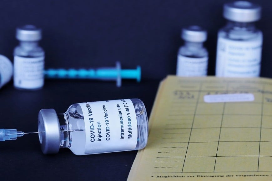 El carnet de vacunación es uno de los documentos sanitarios más importantes