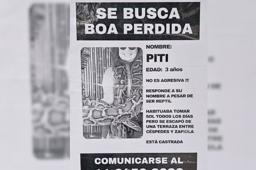 El autor de la falsa alerta confirmó que mintió para vender su emprendimiento.