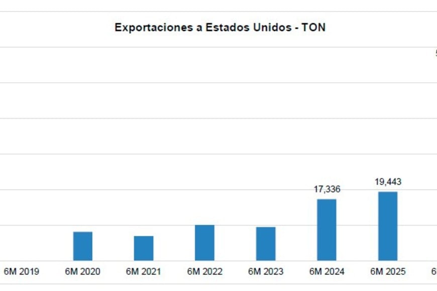 El mercado de Estados Unidos excplica gran parte del salto exportador.
