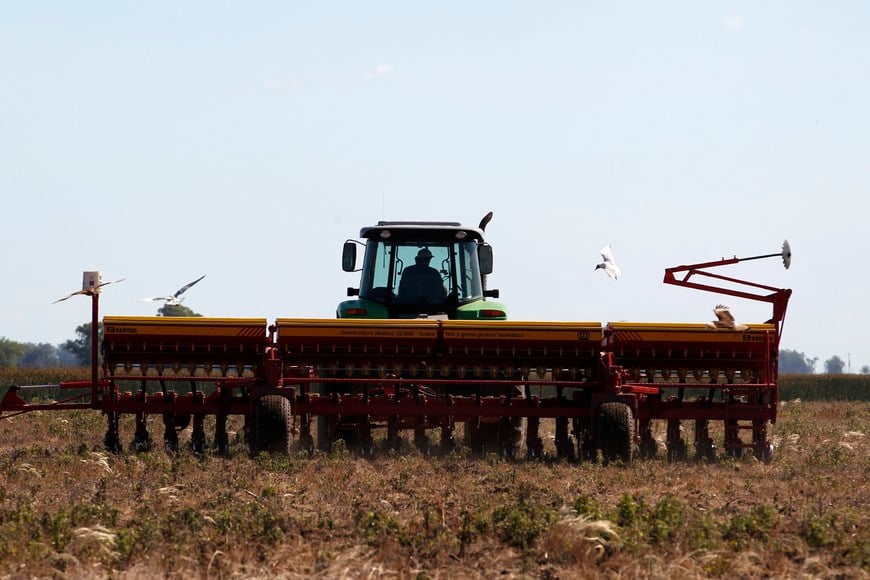 maquinaria agricola cosechadora cosechadoras
A rural worker drives a tractor pulling a sowing machine to plant soybeans in the town of Estacion Islas in Buenos Aires province, November 27, 2012. The rains of late last week helped maintain a good level of moisture in Argentina's main crop belt, though some areas are still under water despite the dry weather of recent days, a meteorologist said Tuesday. Many analysts expect record production of soybeans and corn in the marketing year 2012/13 in Argentina, one of the world's biggest food exporters, thanks to good rains linked to the El Nino climate phenomenon. But the extensive rainfall that began in August also brought flooding that has forced some farmers to abandon their sowing plans in the most affected regions. REUTERS/Enrique Marcarian (ARGENTINA - Tags: AGRICULTURE BUSINESS COMMODITIES FOOD) buenos aires estacion islas cosecha de soja en plantacion de estacion islas campos cultivos plantaciones