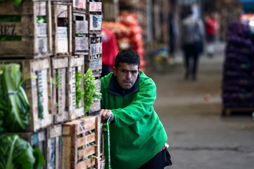 A man pushes a cart at the Mercado Central, the city's largest wholesale central market, which receives produce from the entire country, as Argentines face a daily race for deals as inflation soars above 100%, on the outskirts of Buenos Aires, Argentina September 12, 2023. REUTERS/Matias Baglietto INFLACION PRECIOS BILLETE BILLETES - FRUTAS VERDURAS VERDULERIA - MERCADO CENTRAL