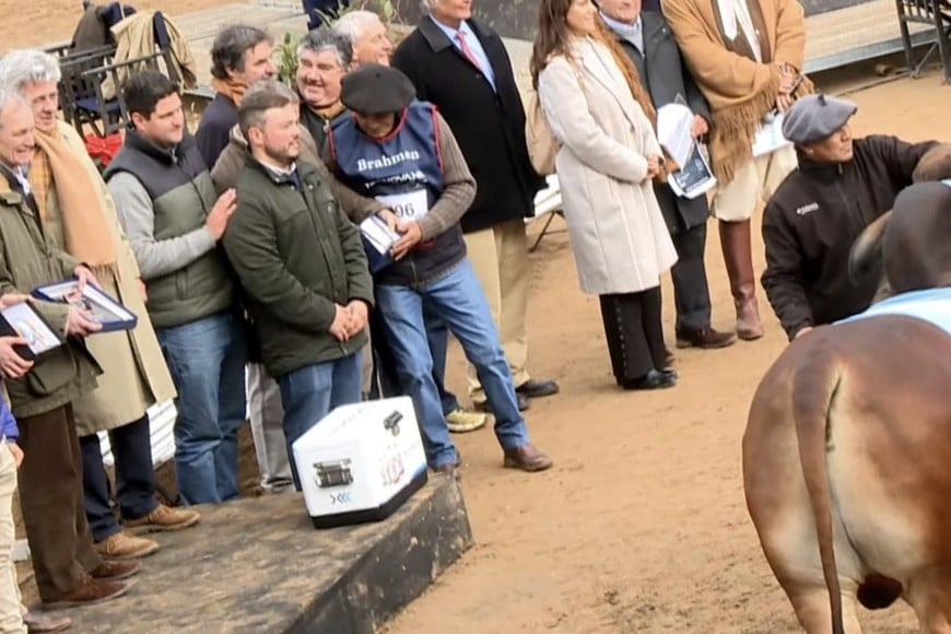 Marcaojo brilló en Palermo con destacados premios en Brahman y Braford