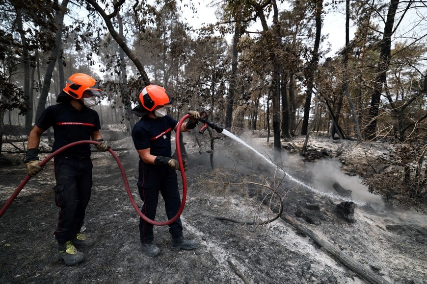 French firefighters work to extinguish a wildfire in the Fontainebleau forest near Noisy-sur-Ecole as wildfires reignite in the forest during a heatwave affecting a large part of the country, France, July 15, 2026. REUTERS/Stephane Mahe