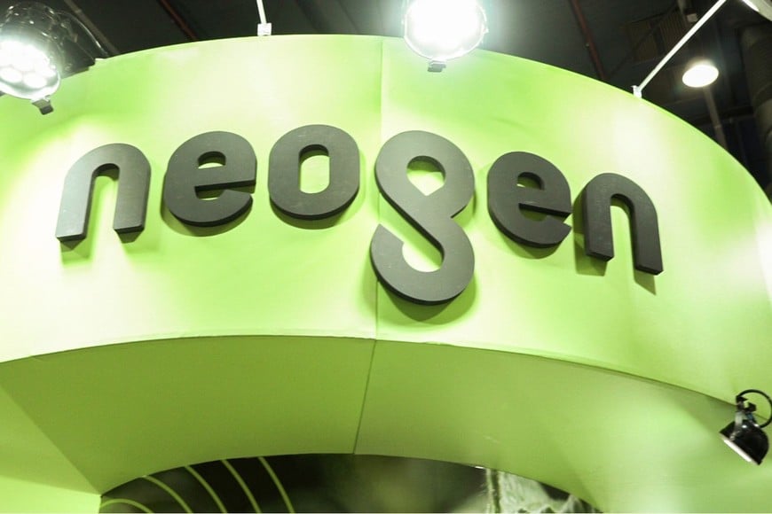 Desde Neogen, marca de GDM, aportan evidencia sobre el impacto de las recientes heladas en el trigo, y explican por qué el daño visible no siempre se traduce en pérdidas de rendimiento.