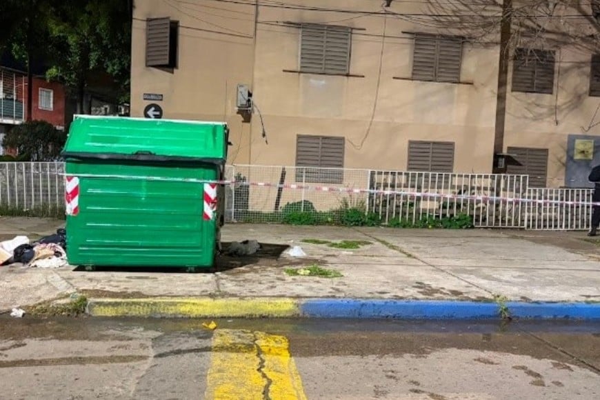 Fue encontrado tirado al costado de un contenedor de residuos.