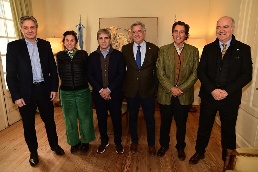 Lanzan créditos para toros y hembras de alta genética con beneficios del RIMI