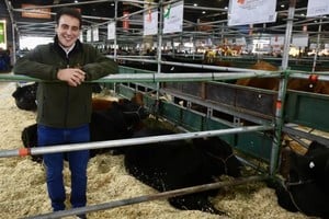 Del primer Angus que llegó al país a la genética de vanguardia: una historia familiar que sigue escribiéndose en Palermo