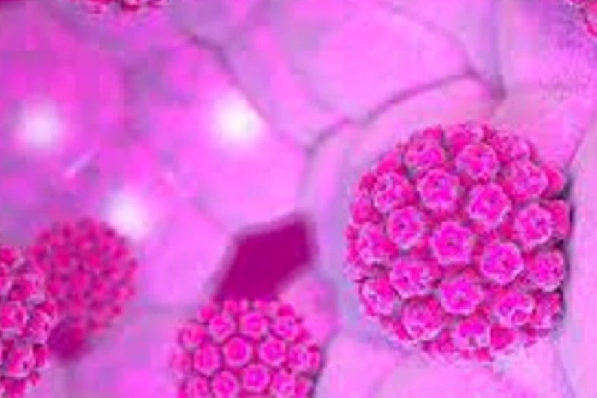 Aumentan los casos relacionados con el virus del papiloma humano (VPH)