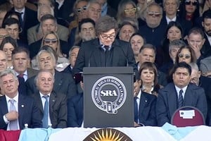 El presidente Milei durante su discurso. Crédito: Presidencia