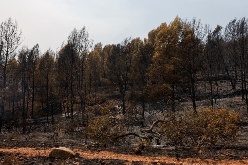 A general view of an area affected by a wildfire in La Vall d'Uixo, Castellon province, Spain, July 27, 2026. REUTERS/Eva Manez