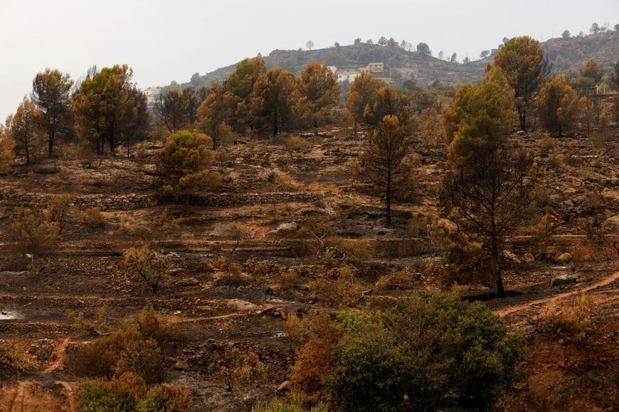 A general view of an area affected by a wildfire in La Vall d'Uixo, Castellon province, Spain, July 27, 2026. REUTERS/Eva Manez
