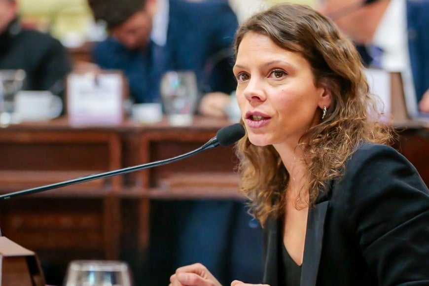 Mahmud presentó una iniciativa que propone un sistema de saneamiento financiero para consumidores.