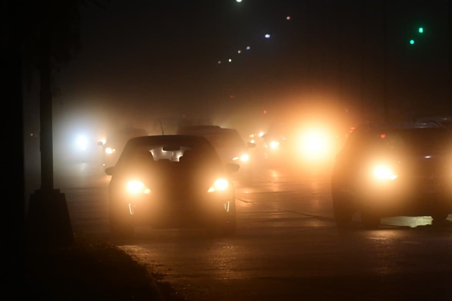 Postales de una Santa Fe cubierta por la neblina Créditos: Flavio Raina