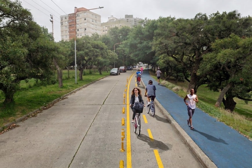 La otra nueva ciclovía sobre calle 1 de mayo, junto al piletón del lago, que conectará con el corredor de Tacca hacia los centros deportivos. MCSF