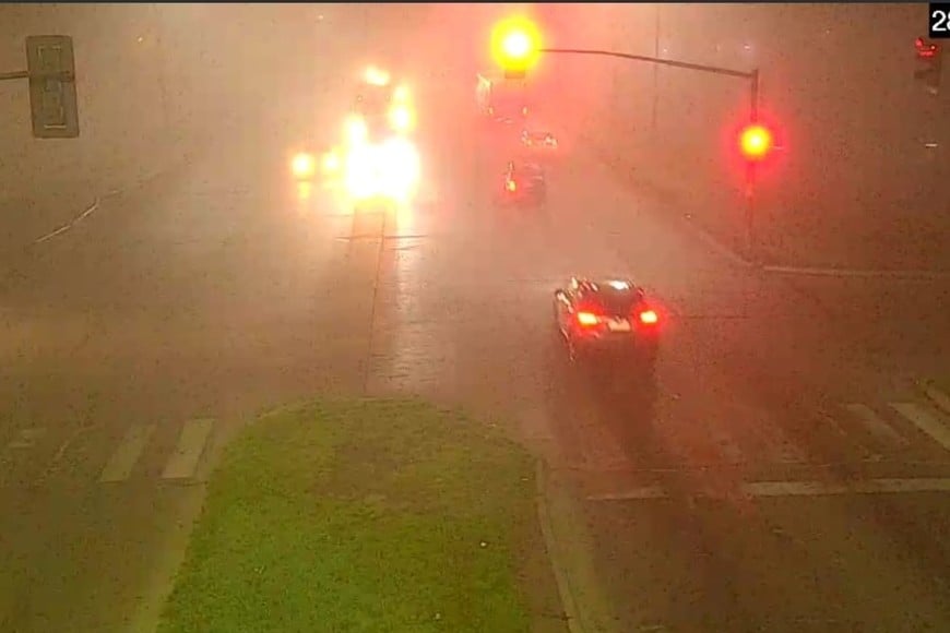 neblina