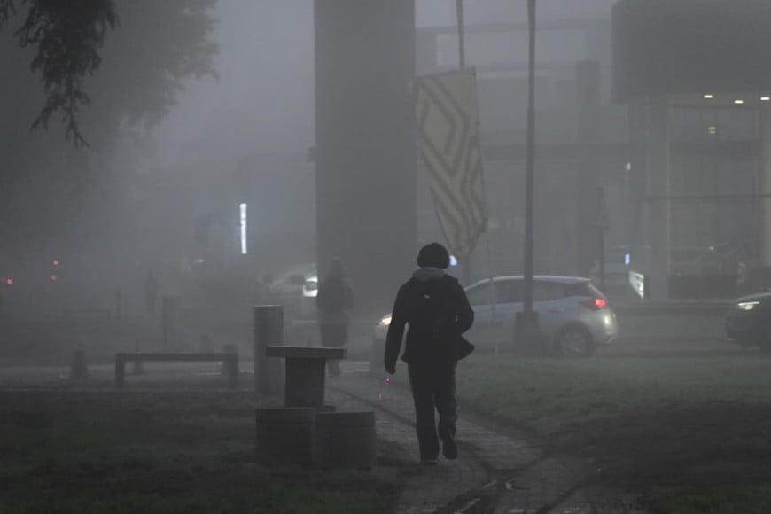neblina Créditos: Flavio Raina
