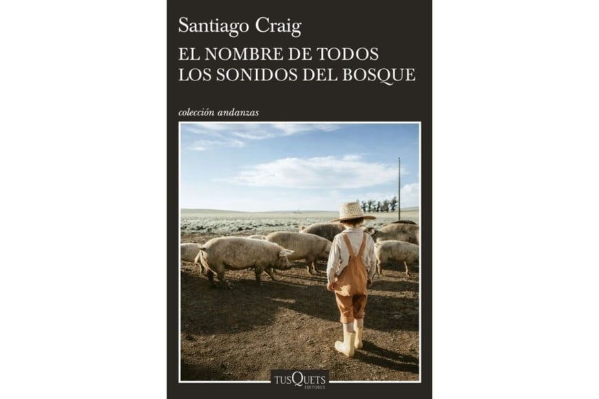 Portada de “El nombre de todos los sonidos del bosque” (Tusquets, 2026), libro de cuentos de Santiago Craig