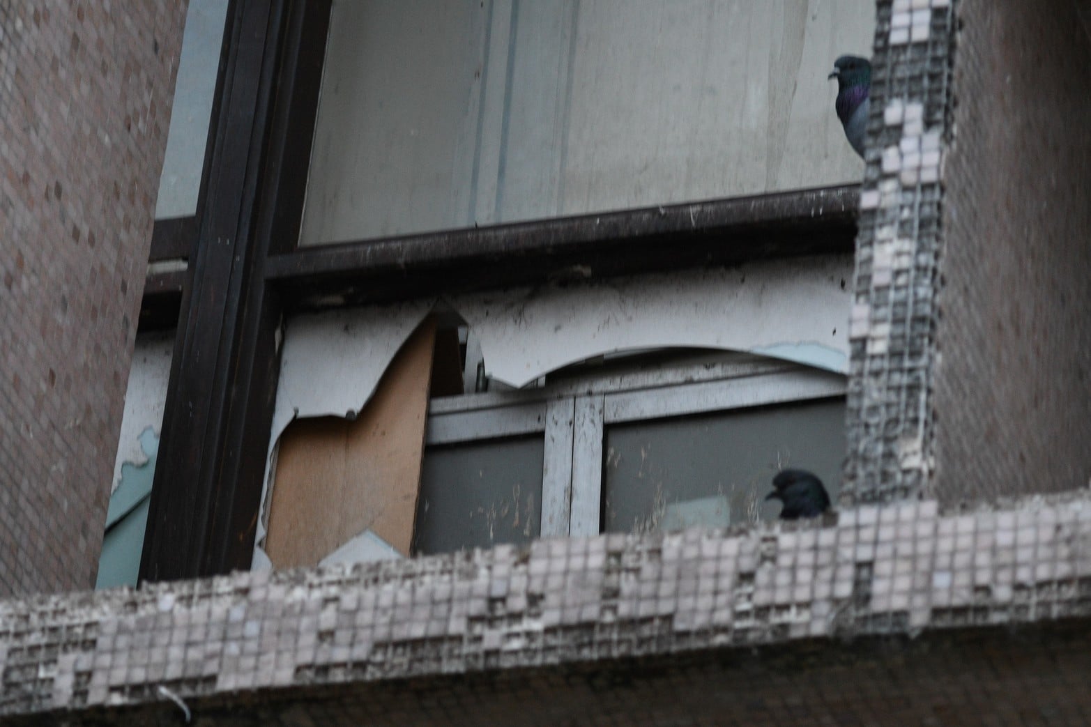 Vidrios rotos, basura, revoques caídos, palomas, humedad. Así está el edificio.