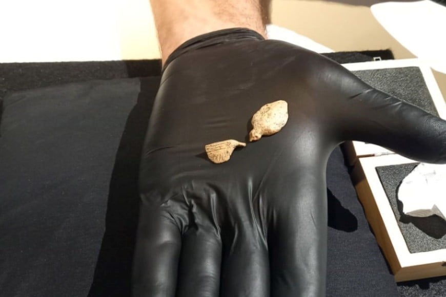 Además, ambas tallas son extraordinariamente ligeras: pesan solo 1,3 gramos y 0,7 gramos, respectivamente.