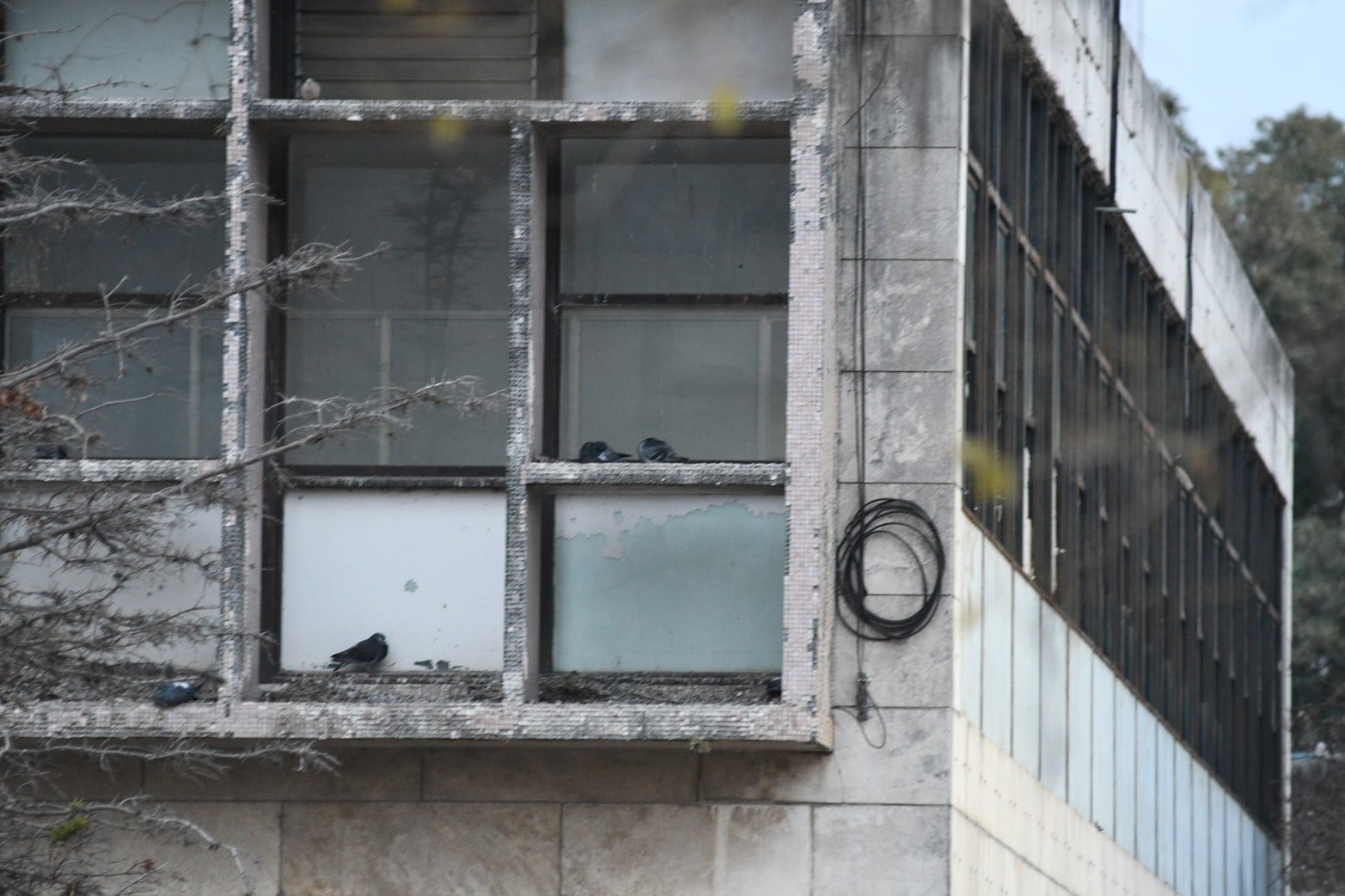 Vidrios rotos, basura, revoques caídos, palomas, humedad. Así está el edificio.