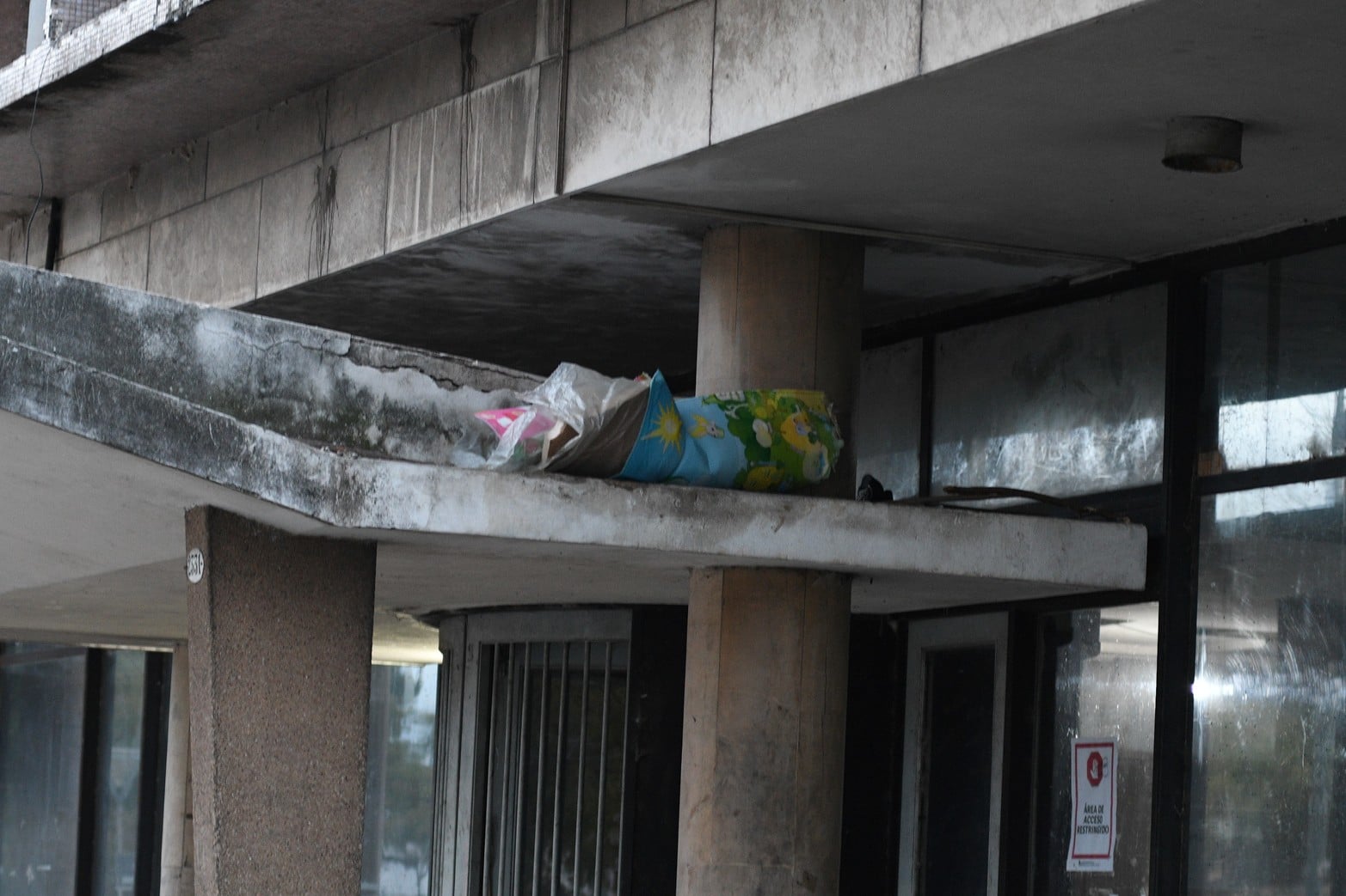 Vidrios rotos, basura, revoques caídos, palomas, humedad. Así está el edificio.