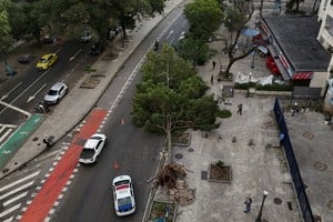 Árboles caídos y daños materiales fueron parte del impacto del temporal. Crédito: REUTERS.