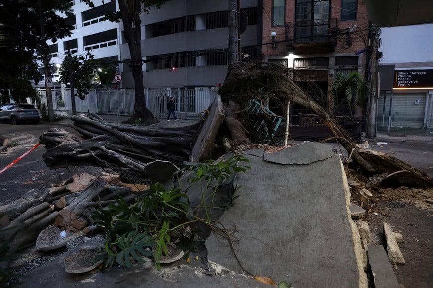A fallen tree blocks a street after strong winds swept through Rio de Janeiro, Brazil July 30, 2026.
REUTERS/Pilar Olivares