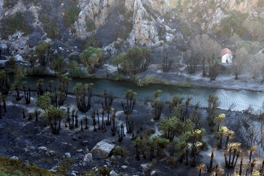 Charred palm tree trunks next to a church at the Preveli Palm Forest, following a wildfire, on the island of Crete, Greece, July 31, 2026. REUTERS/Stringer