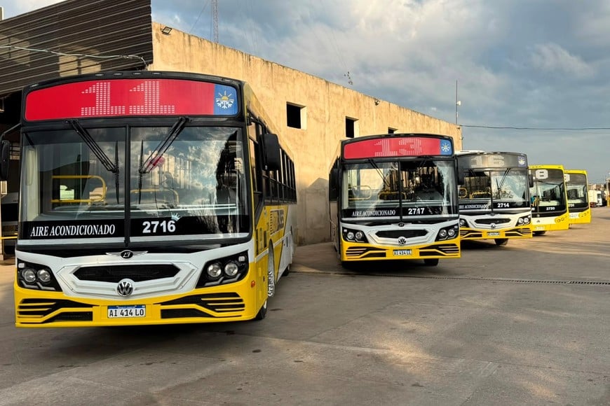 Hay cinco coches de la prestataria Autobuses que son 0 Km. Foto: Gentileza