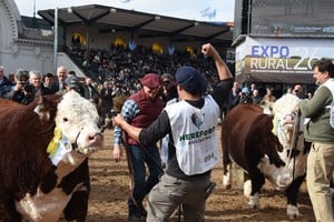 Hereford reafirmó su liderazgo ganadero en la Exposición Rural de Palermo 2026