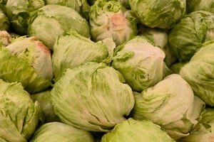 Las autoridades federales sanitarias identificaron como una de las principales fuentes de transmisión a lotes de lechuga iceberg distribuidos a cadenas de restaurantes, lo que derivó en retiros preventivos del mercado en más de 20 estados.