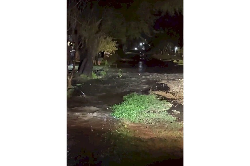 Las precipitaciones superaron los 100 milímetros en apenas dos horas en Florencia.